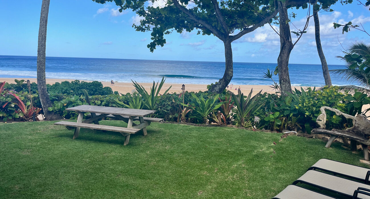 Aloha House backyard with ocean view